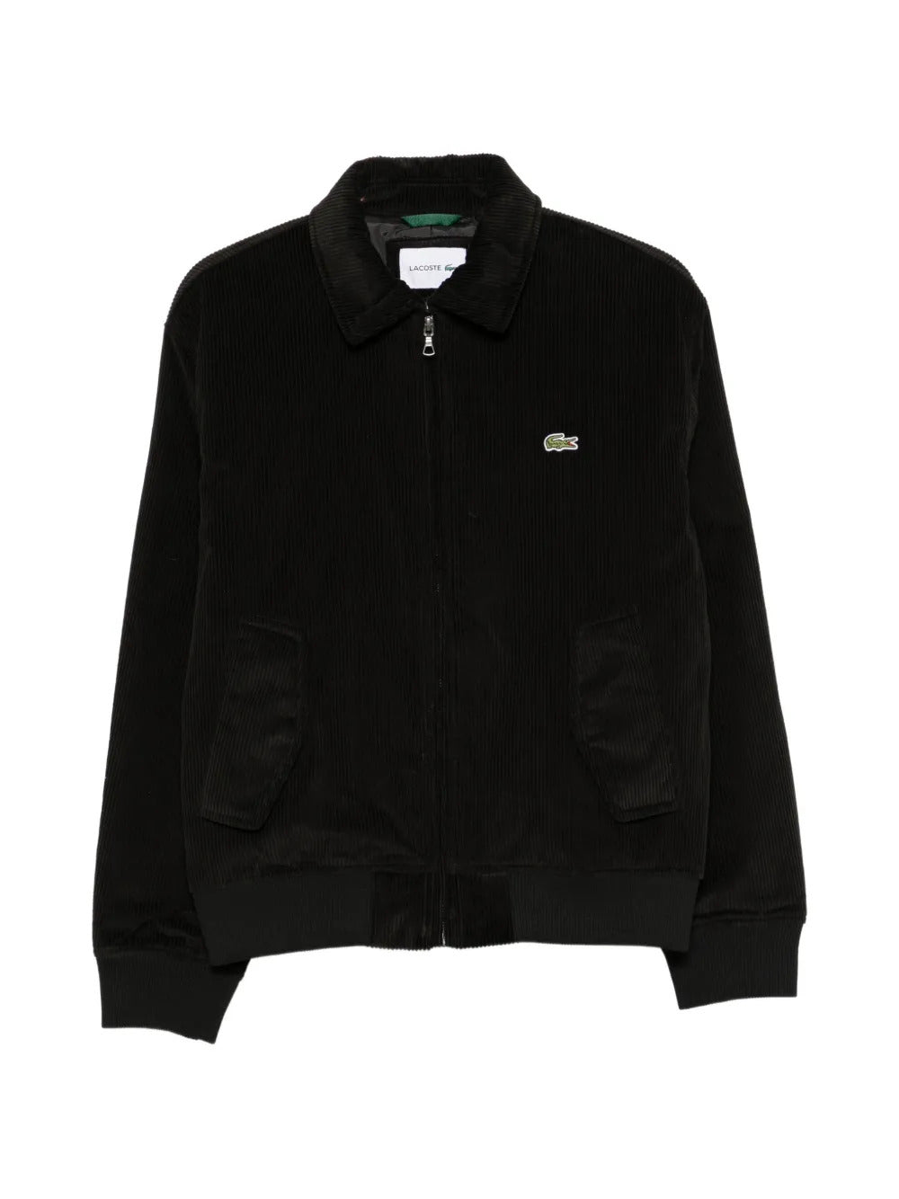 CHAQUETA LACOSTE LOGO