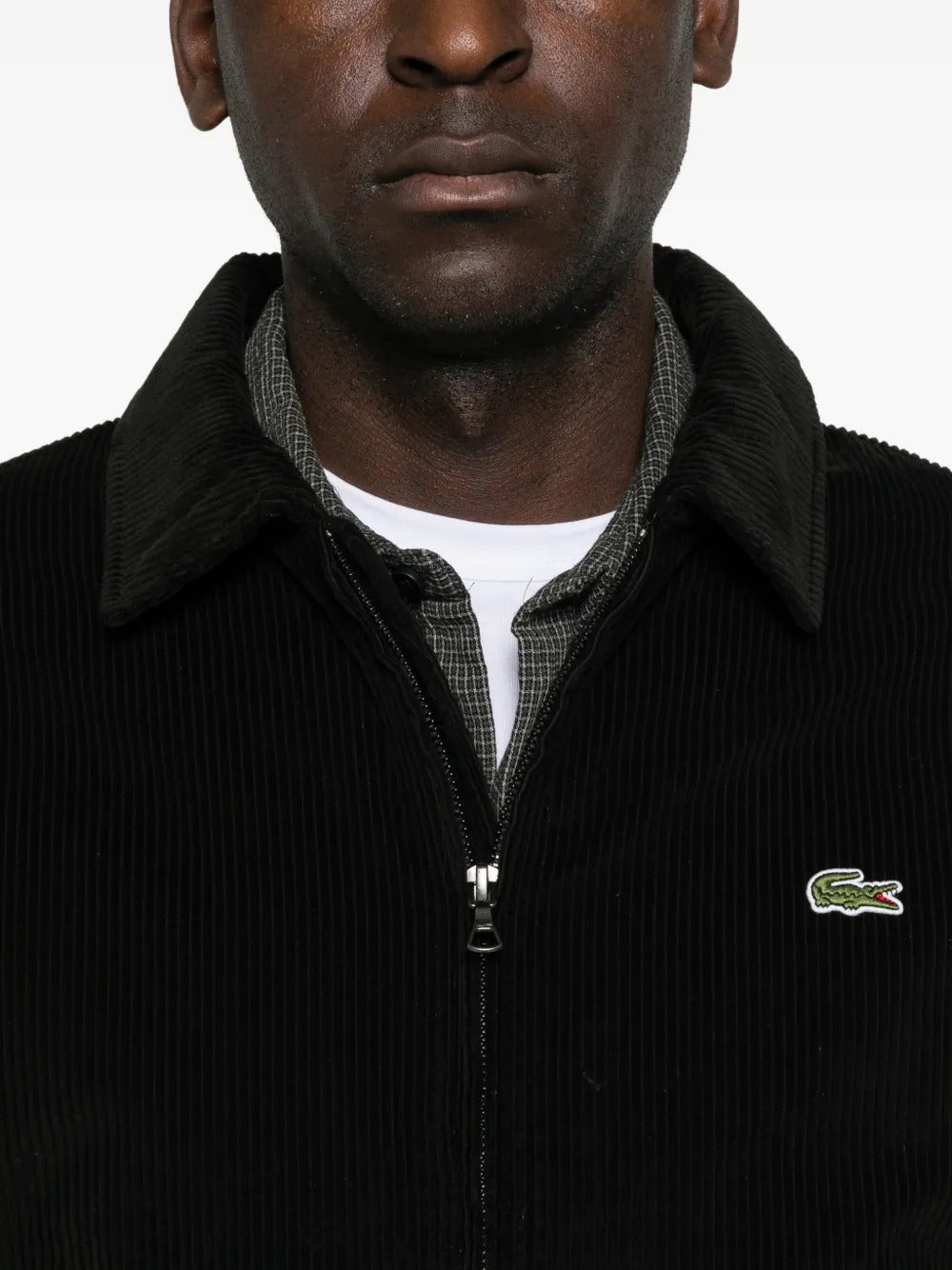 CHAQUETA LACOSTE LOGO