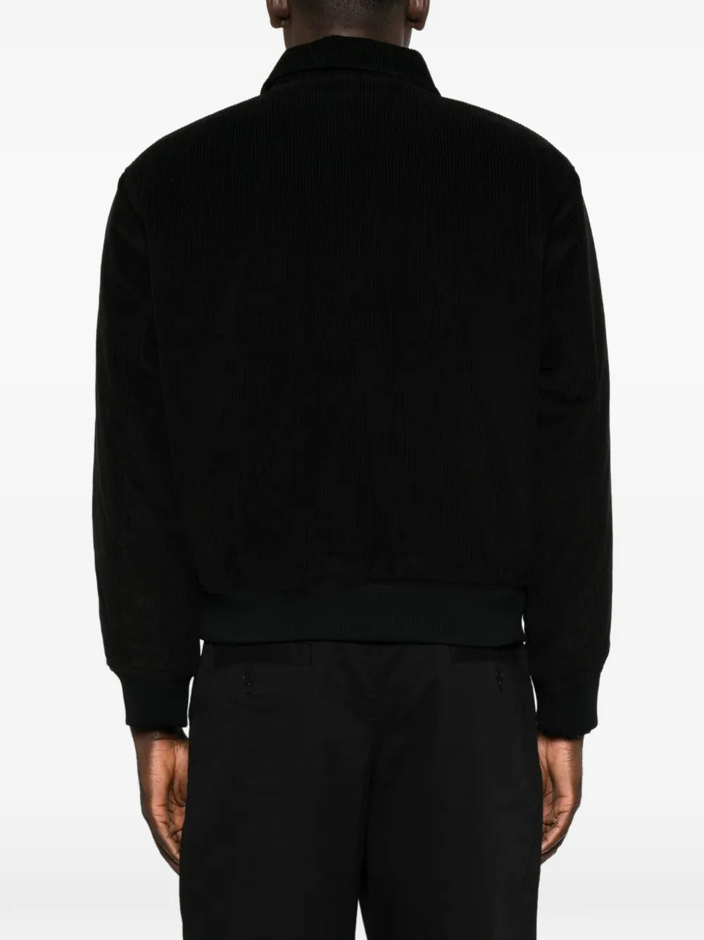 CHAQUETA LACOSTE LOGO